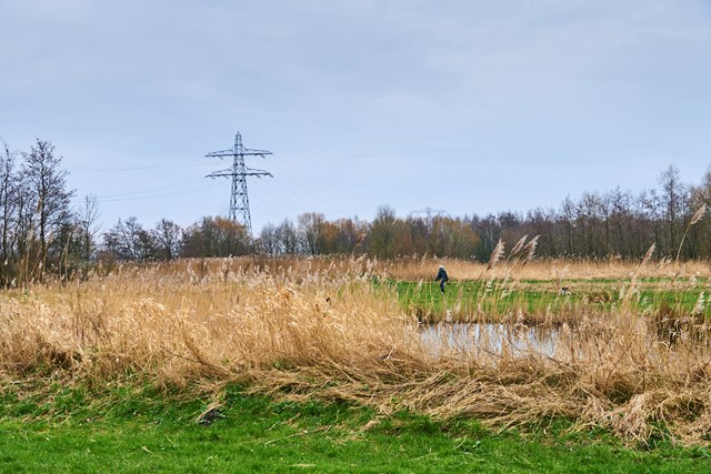 Wandelroute Delft Abtswoudse, Zuid Holland