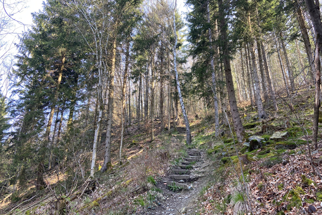 De Magie Van De Vulkaaneifel