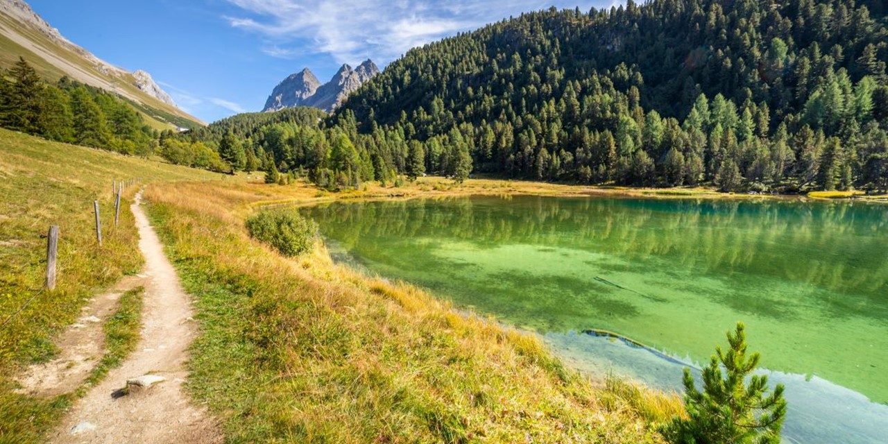Wandelen door de natuur van Zwitserland: Wandelvakantie langs het Albula- en Berninaspoor
