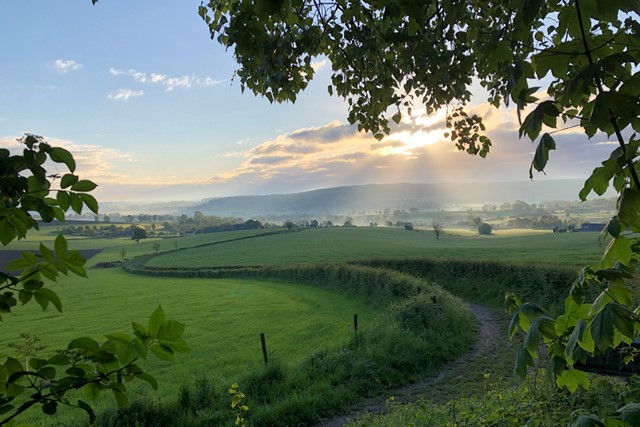 afbeelding van het landschap in het Geuldal met zonnestralen.