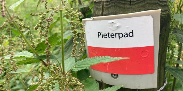 De Mooiste Wandelroutes Groningen Pieterpad Alle Etappes Informatie En Tips 2