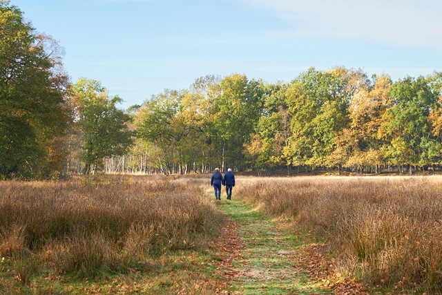 Weg Van Sellingen, Groningen