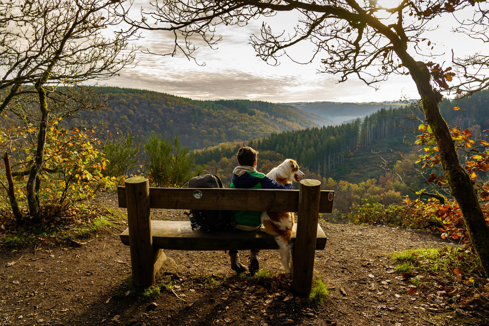 Uitzicht over de Ardennen