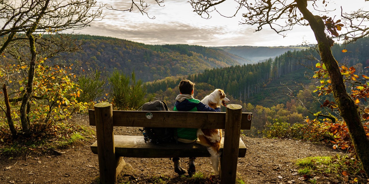 Uitzicht over de Ardennen