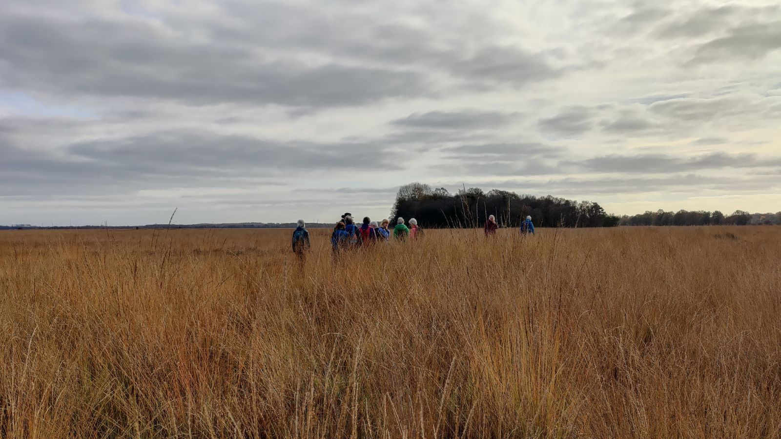 Een wandelreis in Drenthe: genieten van de herfst in optima forma