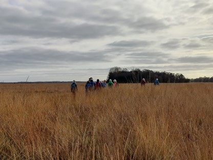 Een wandelreis in Drenthe: genieten van de herfst in optima forma