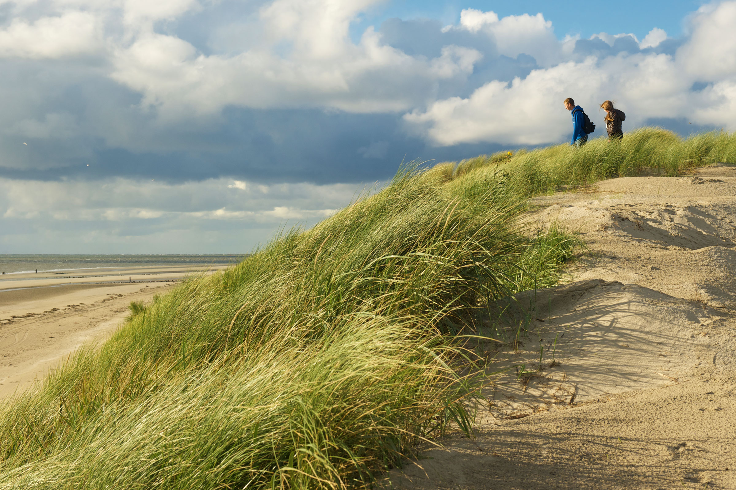 De 10 mooiste wandelroutes rond Purmerend Komoot