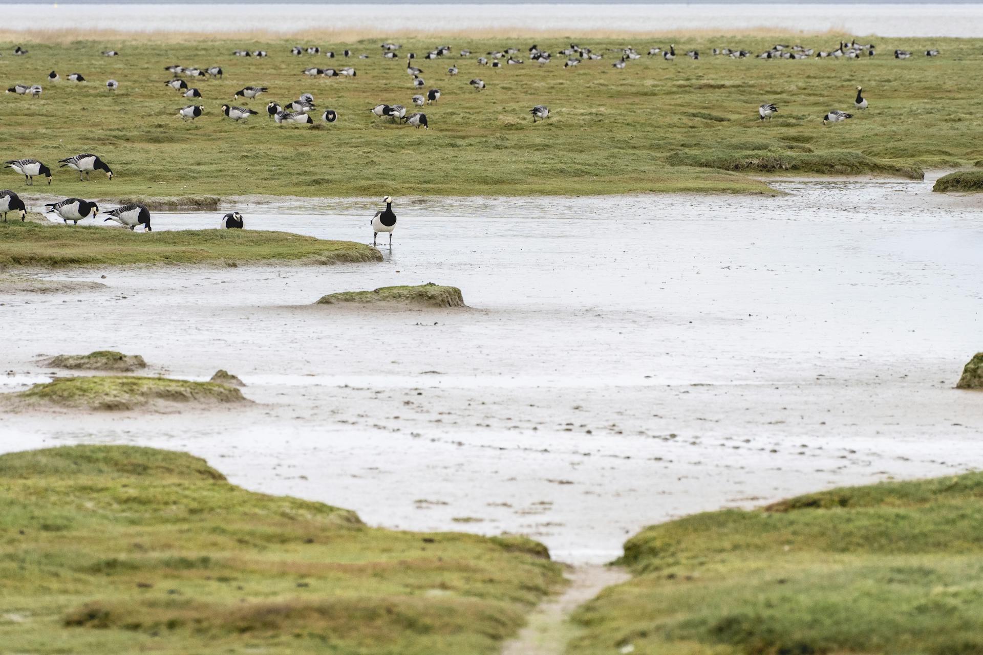 Groningen Wandelroute Met Reuma