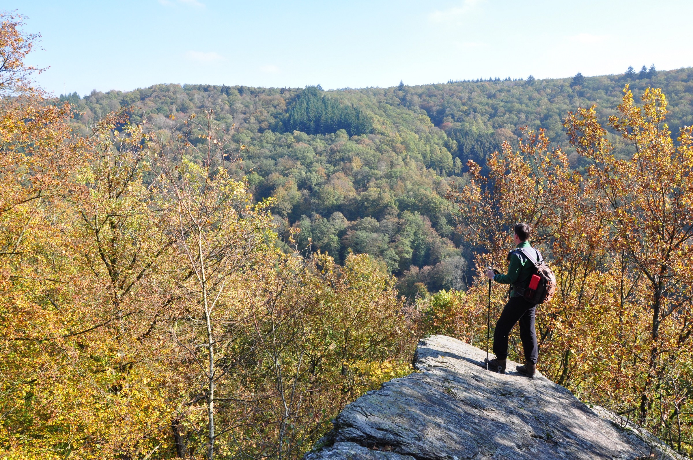 Foto op een rots met uitzicht over de bossen