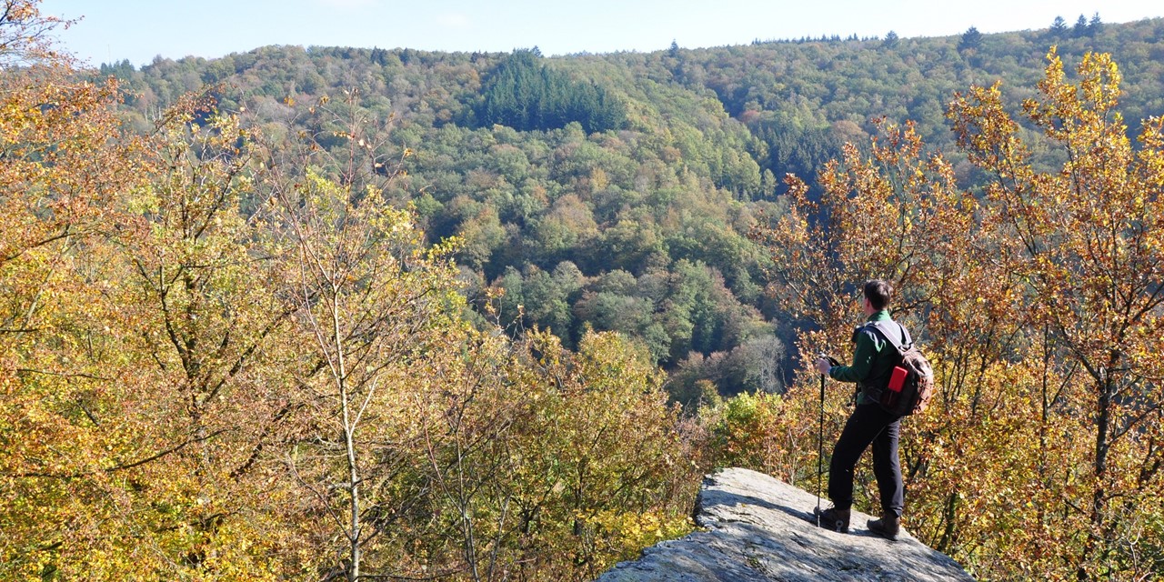 Foto op een rots met uitzicht over de bossen