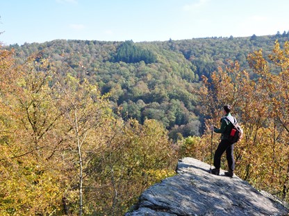 Foto op een rots met uitzicht over de bossen