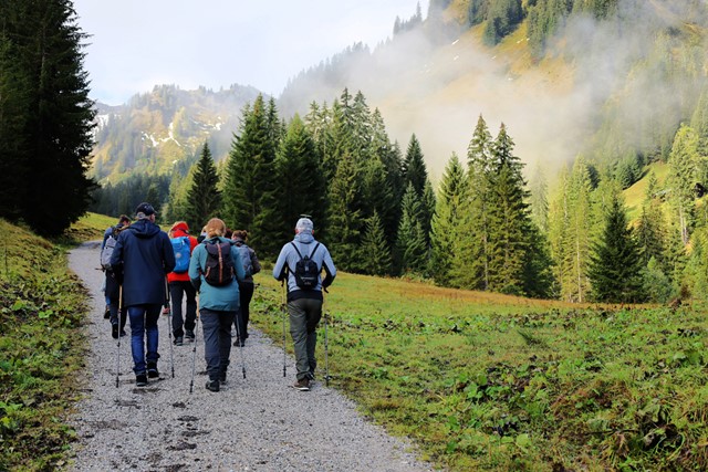 afbeelding van wandelaars in het Kleinwalsertal.