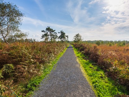 Wandelroute Nationaal Park De Groote Peel Meerbaansblaak