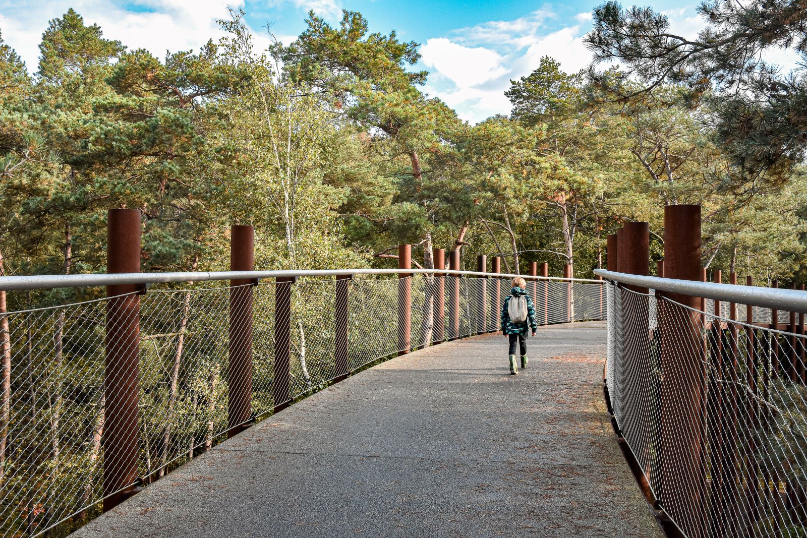 Fietsen door de bomen - Bosland