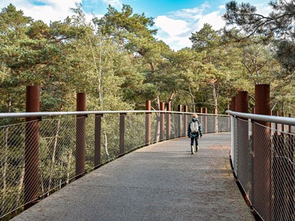 Fietsen door de bomen - Bosland