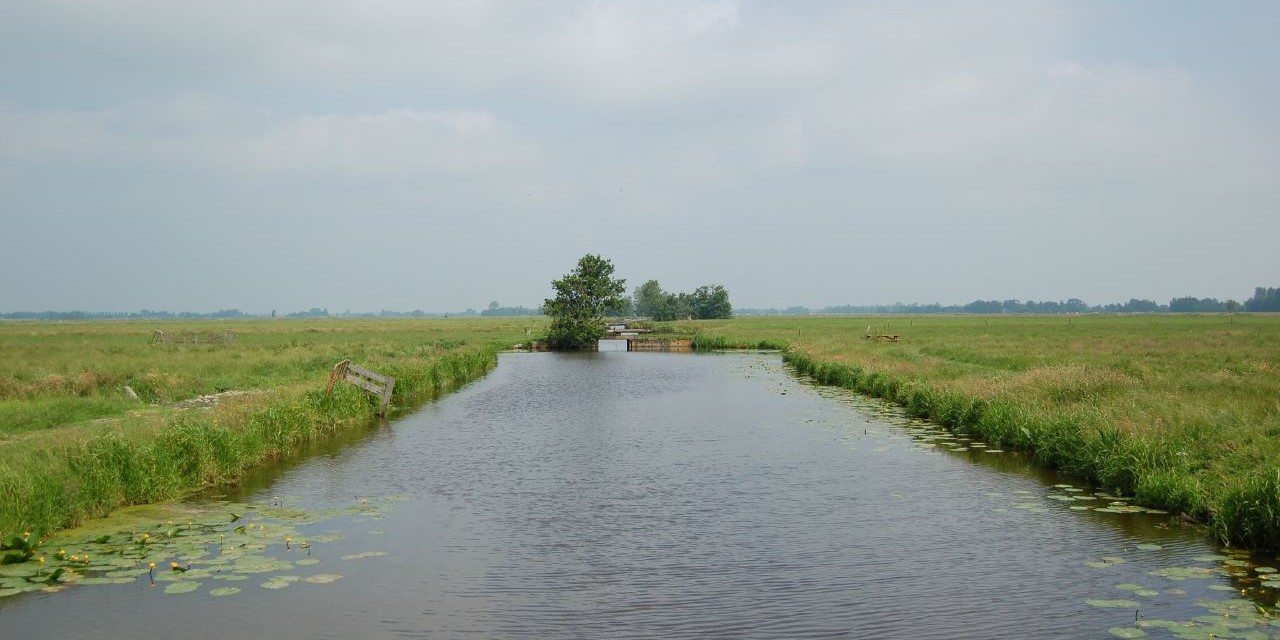 Polder Kamerik