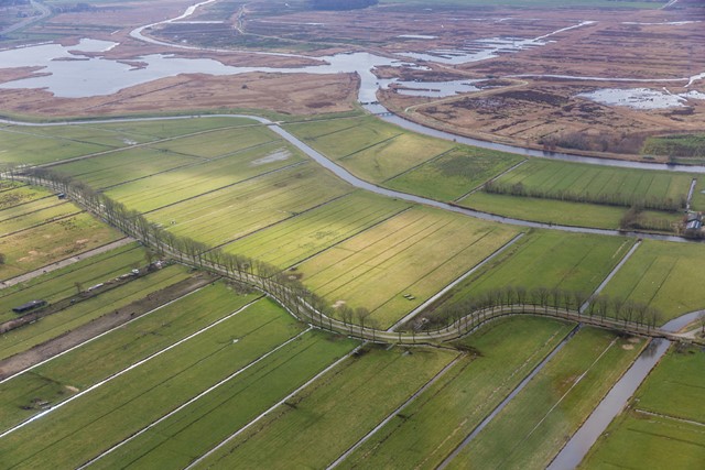 afbeelding van de Weerribben vanuit de lucht.