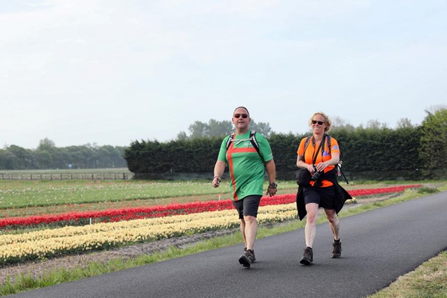 afbeelding van twee wandelaars door de bollenvelden.