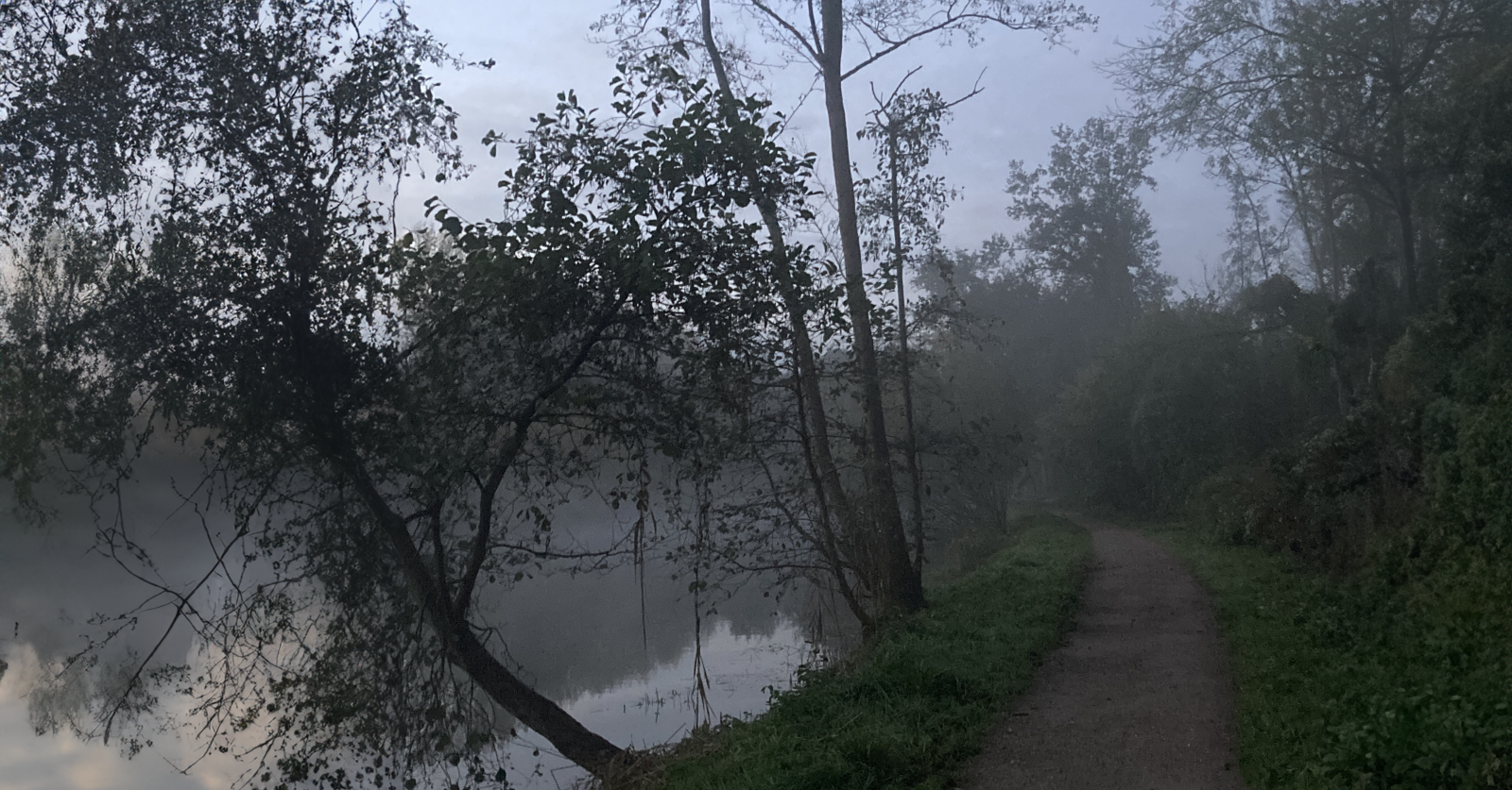 Wandelwoorden Deel 5 Onomkeerbaarheid: Jaagpad Rijn