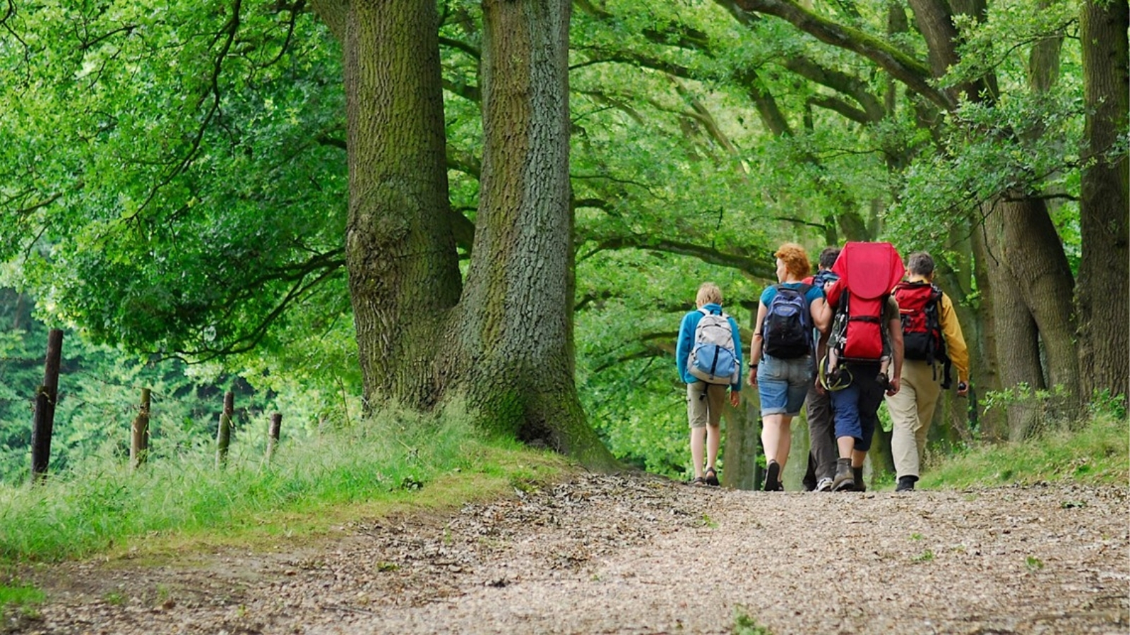 Wandelnetwerken Per Provincie