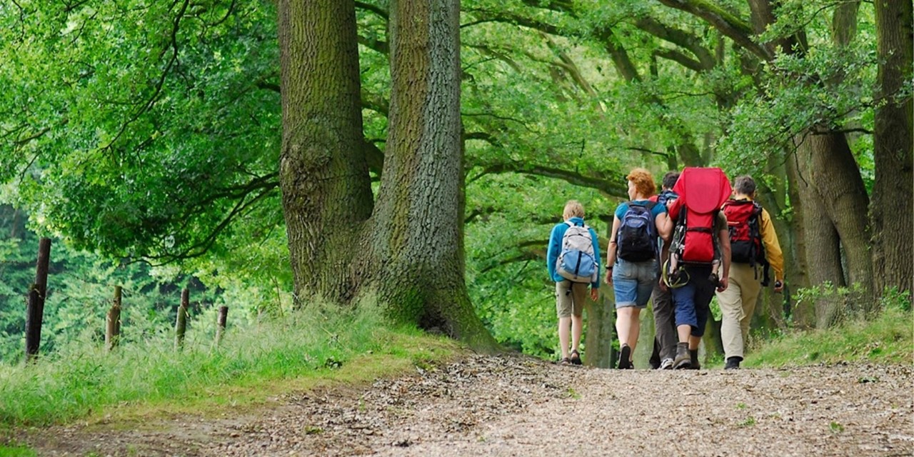 Wandelnetwerken Per Provincie