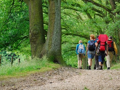 Wandelnetwerken Per Provincie