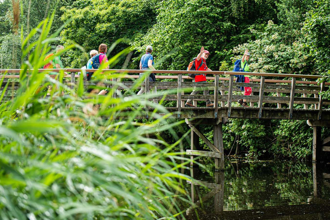 afbeelding van wandelaars tijdens de Wandelvierdaagse Alkmaar