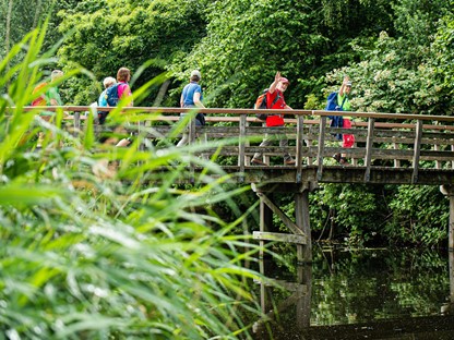 afbeelding van wandelaars tijdens de Wandelvierdaagse Alkmaar