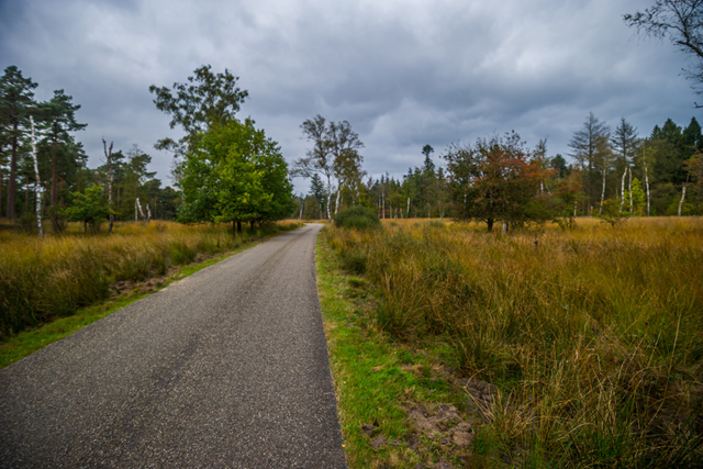 Wandelroute Nationaal Park De Hoge Veluwe Belevingsroute Verhard Pad