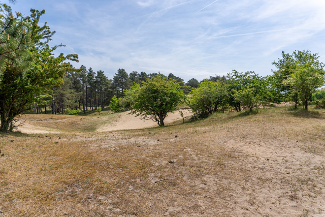 Wandelen Amsterdamse Waterleidingduinen