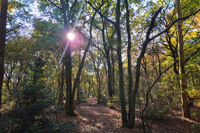 Tussen stad en groen: kloosterrondwandeling Oosterhout