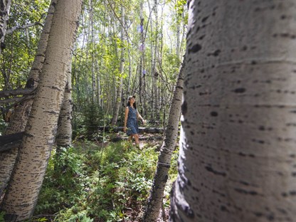 Kledingtips Royal Robbins Spotless