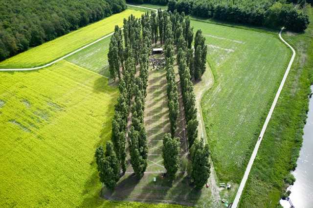 afbeelding van De Groene Kathedraal van Marinus Boezem, van bovenaf.