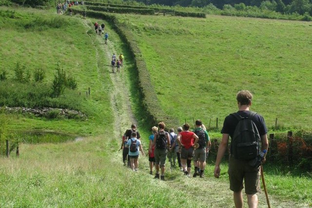 wandelaars lopen over een pad door een weiland omhoog een heuvel op.