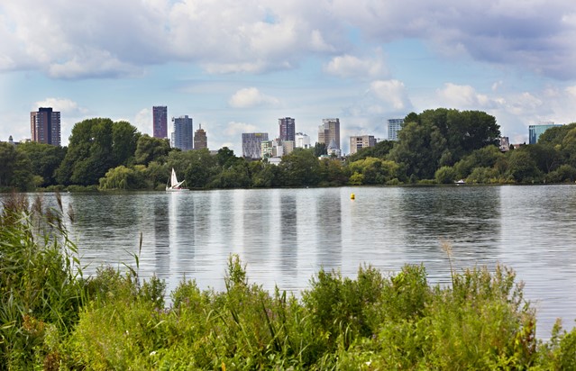 Wandeltochten in steden Kralingse Bos Rotterdam