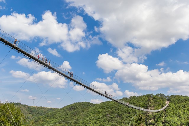 Indrukwekkende bruggen: 8 wandeltips; Geierlay Hangbrug