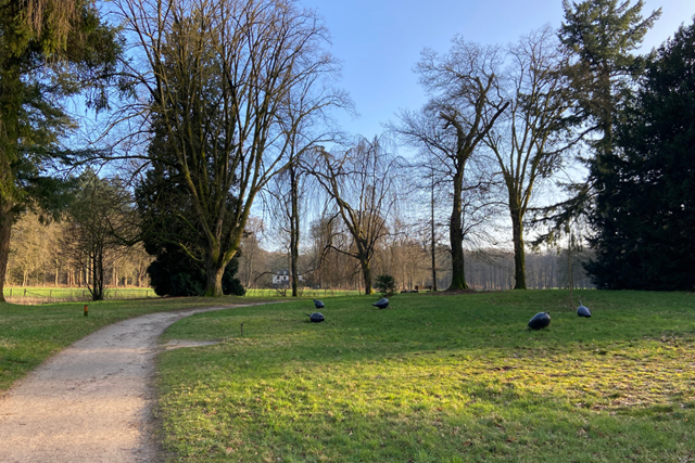 Wandelroute Wandeling Vol Verhalen Op Landgoed Warnsborn: Kunstwerk zinnevruchten