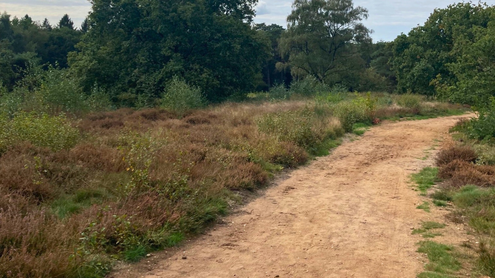 Pieterpad Etappe 16 Braamt