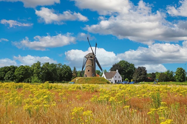 Brabants Vennenpad Een Streekpad Vol Hoogtepunten; Molen Nuenen