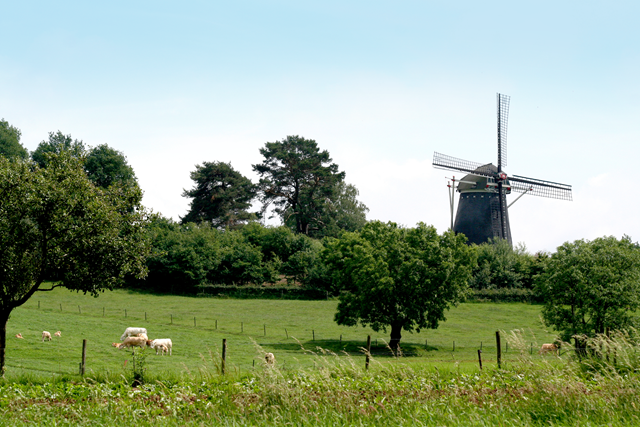 Molen