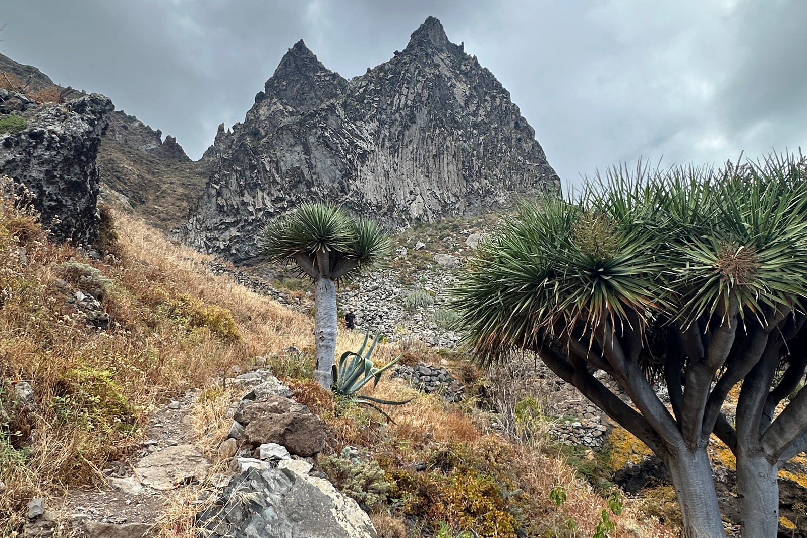 ruige bergen op Tenerife.