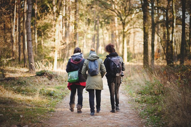 afbeelding van drie wandelaars in de natuur.