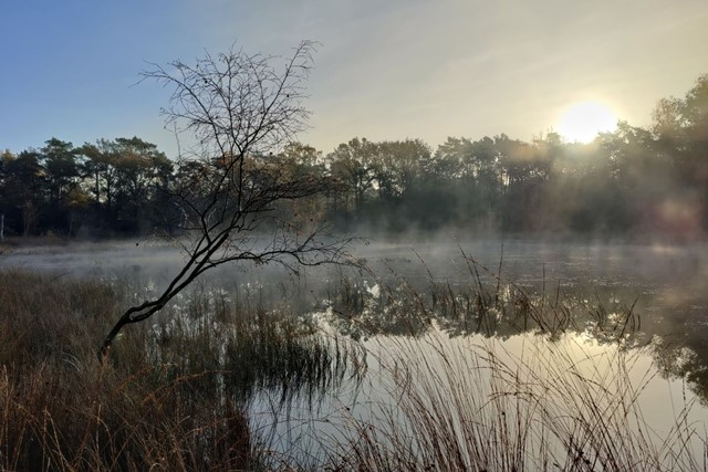 Mooiere foto's