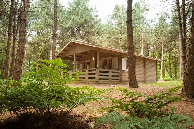 Forest Lodge RCN Vakantieparken