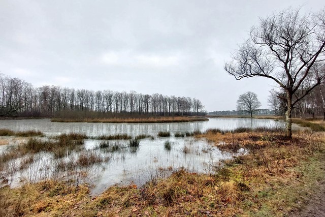  Wandelen in de ijstijd Uddelermeer; Groot Zeilmeer.