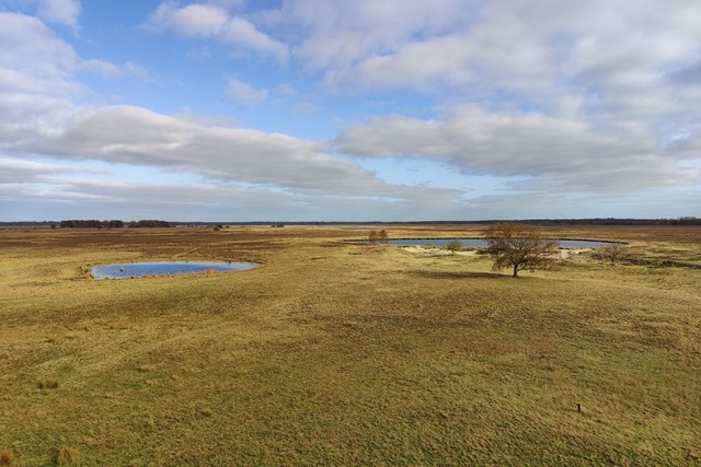 Wandelroute NP Dwingelderveld Zwerfroute Kloosterveld Uitzicht Vanaf De Uitkijktoren