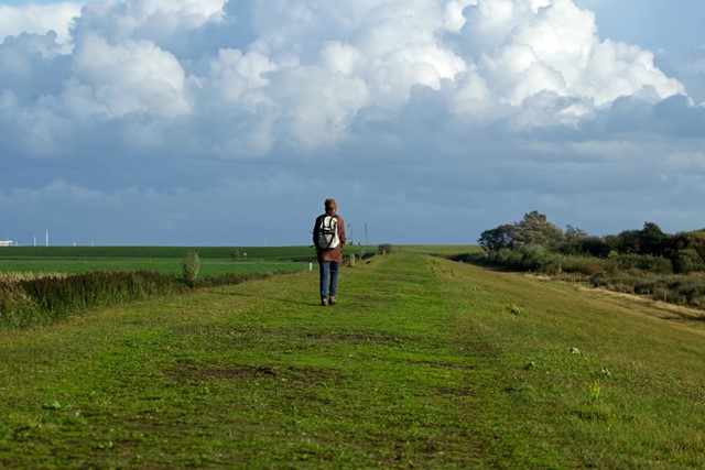 Autovrije wandelroutes hier is het lekker rustig en stil: Schiermonnikoog