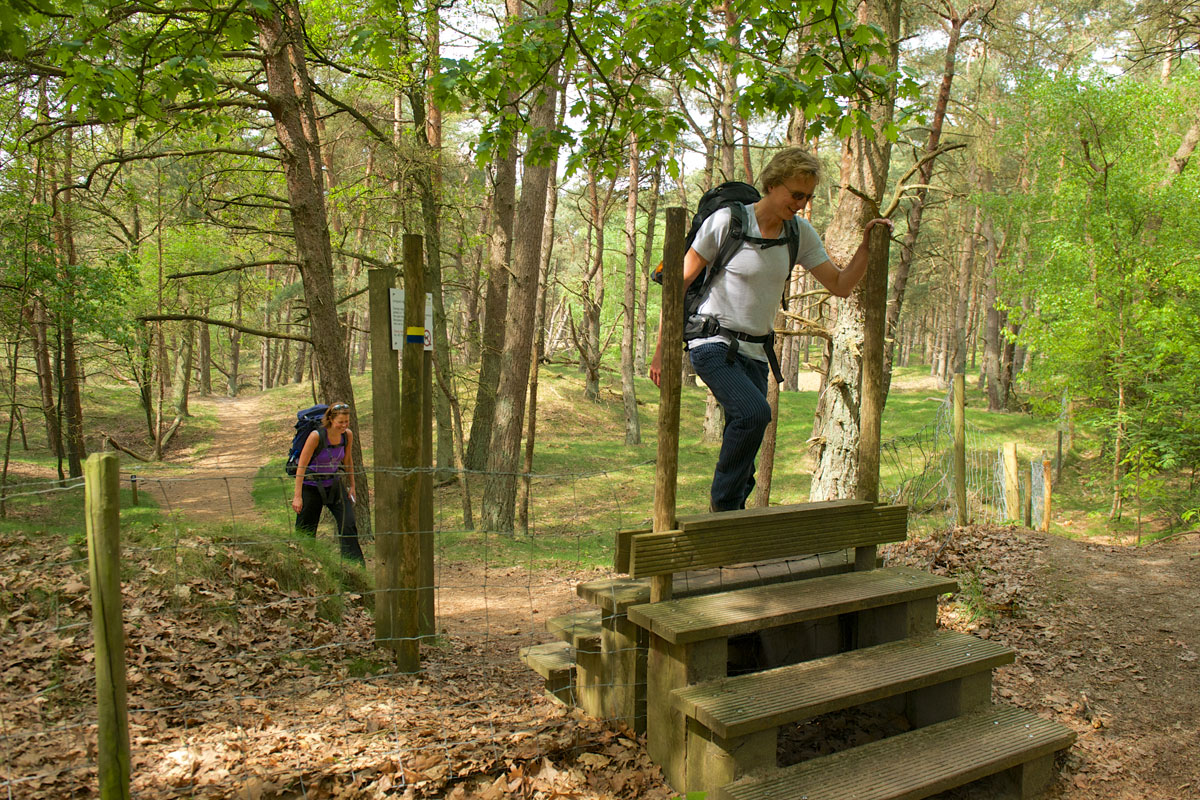 10 wandelroutes op de Utrechtse Heuvelrug - Wandel