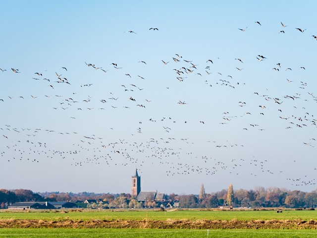 Eempolder