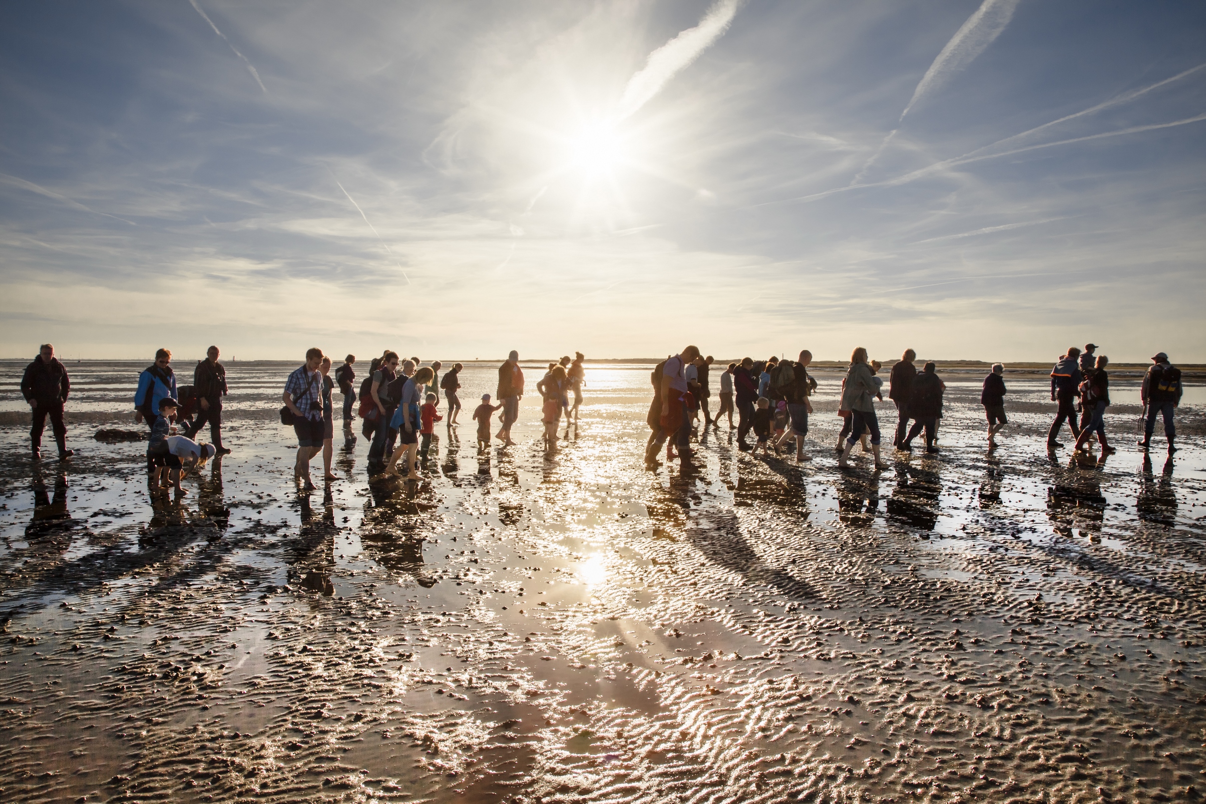 Wadlopen bij UNESCO-Werelderfgoed de Waddenzee, foto: Dietmar Scherf